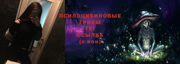 молекула духа Алексин