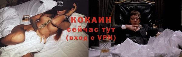 молекула духа Алексин