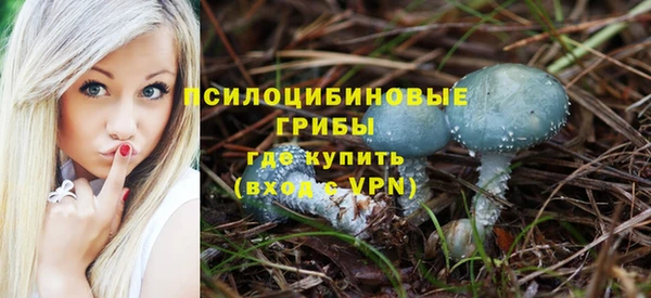 мет Армянск