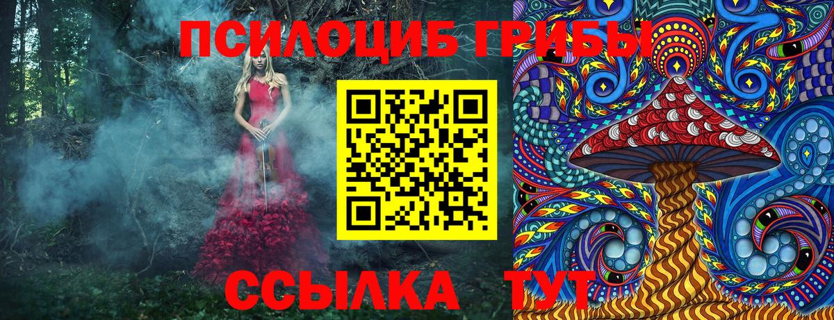 Псилоцибиновые грибы Cubensis  Вход с VPN  Набережные Челны 
