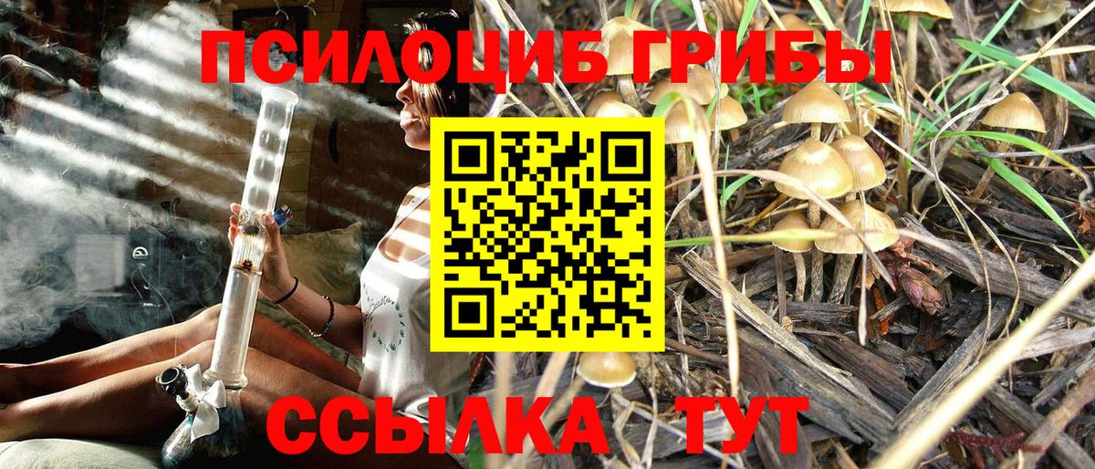 Псилоцибиновые грибы мухоморы Набережные Челны